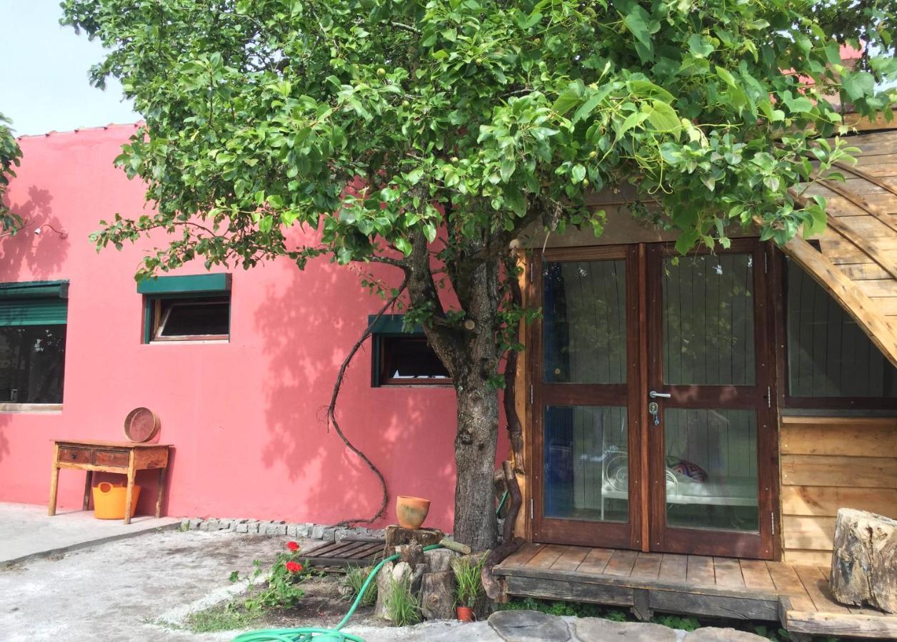 Villa Maceda Surf Camp Exterior foto